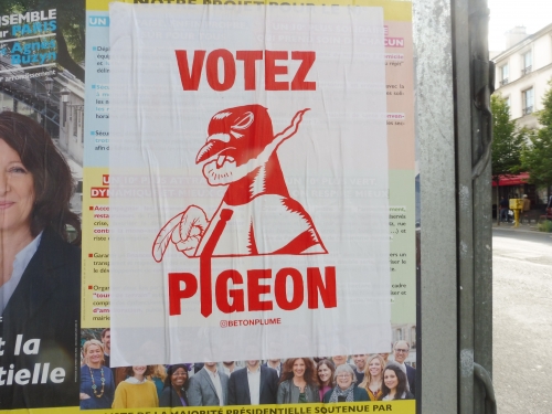 votezpigeon.JPG